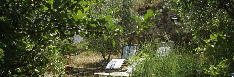 其他 Terrace Houses Sirince - Fig, Olive And Grapevine