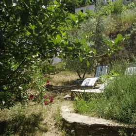 Terrace Houses Sirince - Fig, Olive And Grapevine 1, Khách sạn Nhà của Đức Mẹ Maria