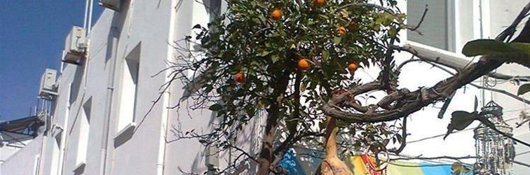 その他 Myndos Pansiyon