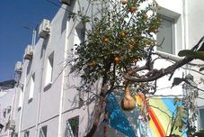 その他 Myndos Pansiyon