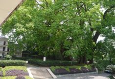 Others 5 Emeishan Hotel