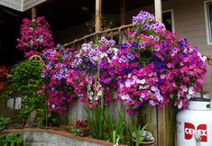 Others 3 Tradewinds Motel