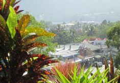 Others 4 Waterview Airlie Beach