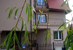 Lainnya 2 Apartamenty Dolna Kraków