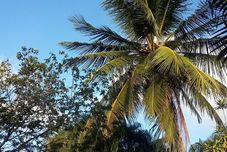 Lain-lain OKAKOARAS HOTEL