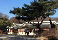 Others 5 Mon Oncle A Seoul