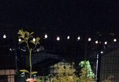 อื่นๆ 5 Kyoto Hostel Ryokan