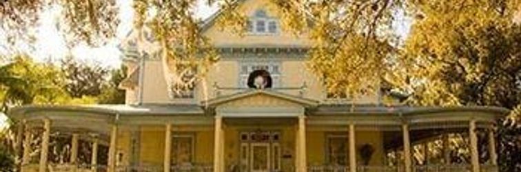 其他 The Stanford Inn