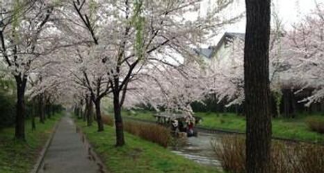 Others 2 Kuretakean Hotel