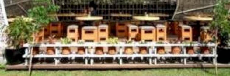 Khác Hummingbird Guesthouse