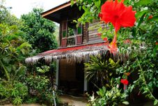 Others Butterfly Guest House