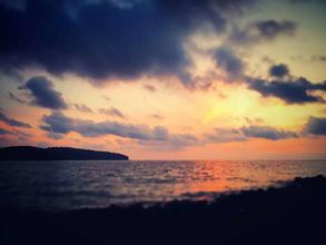 Others 4 Butterfly Guest House