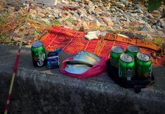 Others 6 Butterfly Guest House