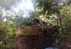 Others 7 Butterfly Guest House