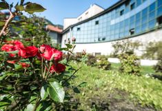 其他 3 Victoria Hotels Royal Garden