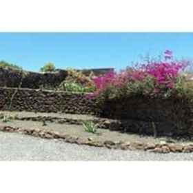 Samonzu 1640 1, Hotel Pocillos Beach