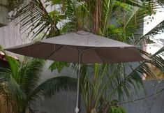 其他 3 Wellnessland Wholeness Center