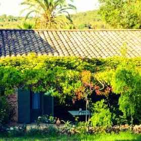 손 벤트 1, 발레아레스 제도 호텔