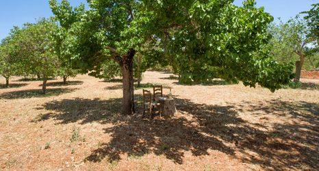 Others 2 Villa Can Cama