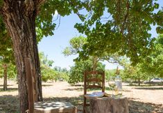 Others 7 Villa Can Cama