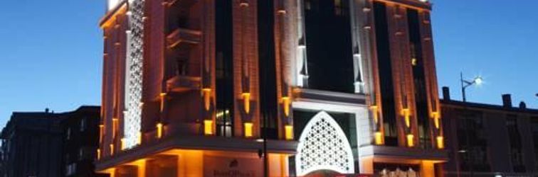 其他 Revag Palace Hotel