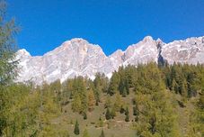 기타 Hotel Neuwirt