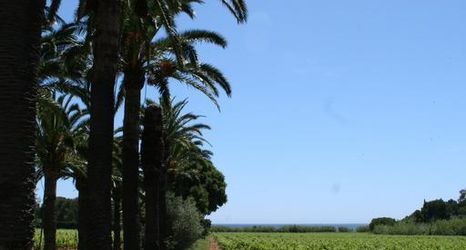 Others 2 Hotel La Cigale