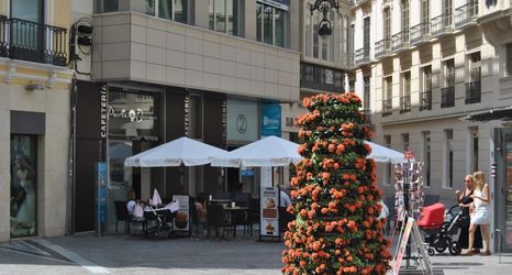 其他 2 Malaga Center Flat Historic Center