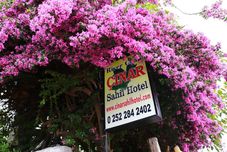 อื่นๆ Cinar Sahil Pansiyon