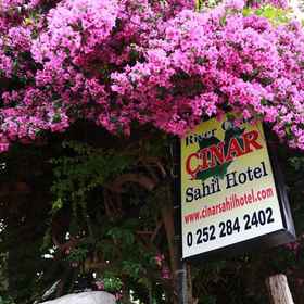 Cinar Sahil Pansiyon1 , 飯店Karya Villa