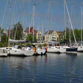 Hotel Adler1 , 飯店格赖夫斯瓦尔德植物园和植物园