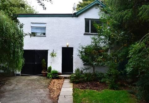 其他 Shelley Guest House