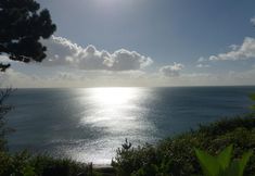 Lain-lain 3 Driftwood Hotel