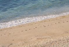 Lain-lain 5 Driftwood Hotel