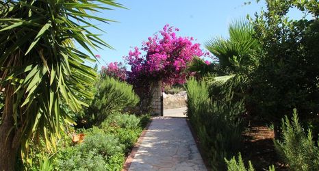 Lain-lain 2 Villa Selim