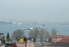 Others 4 Blue Mosque Suites