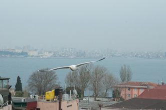 Others 4 Blue Mosque Suites