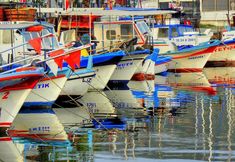 Others 5 Cakoz Pansiyon