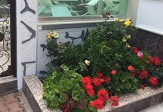 其他 6 İskele Otel