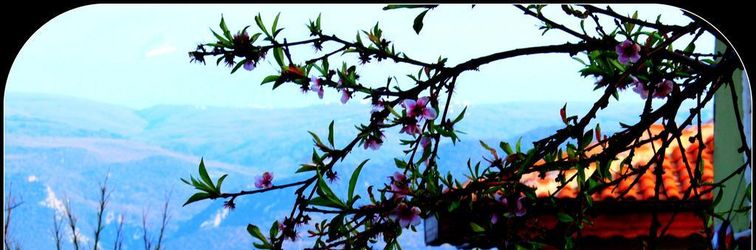 Others Faik Bey Konagi