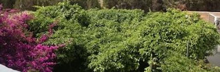 Lainnya Apartamentos Mayans