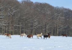 其他 4 Hotel Kinnen