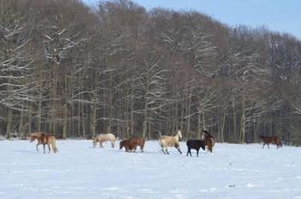 其他 4 Hotel Kinnen