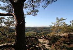 其他 2 Hotel Auberge Rustique