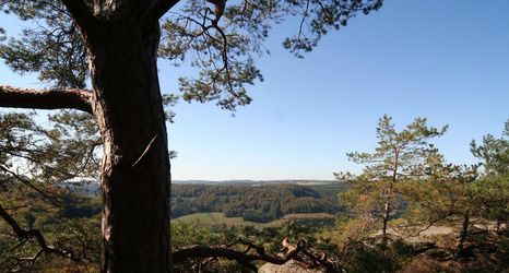 其他 2 Hotel Auberge Rustique