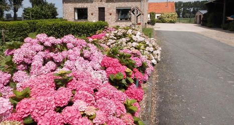 Lain-lain 2 B&B Het Polderhof