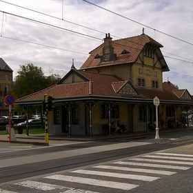 Kokodor 1, Hotel Statue of Einstein