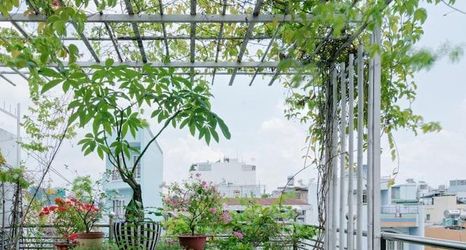 기타 2 Chez Mimosa Boutique Hotel