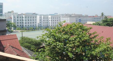 Others 2 Hoa Cuc Xanh Mini Hotel