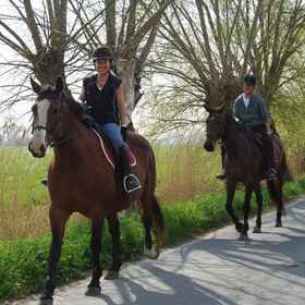 B&B Polderlicht 1, Hotel Arrondissement of Bruges